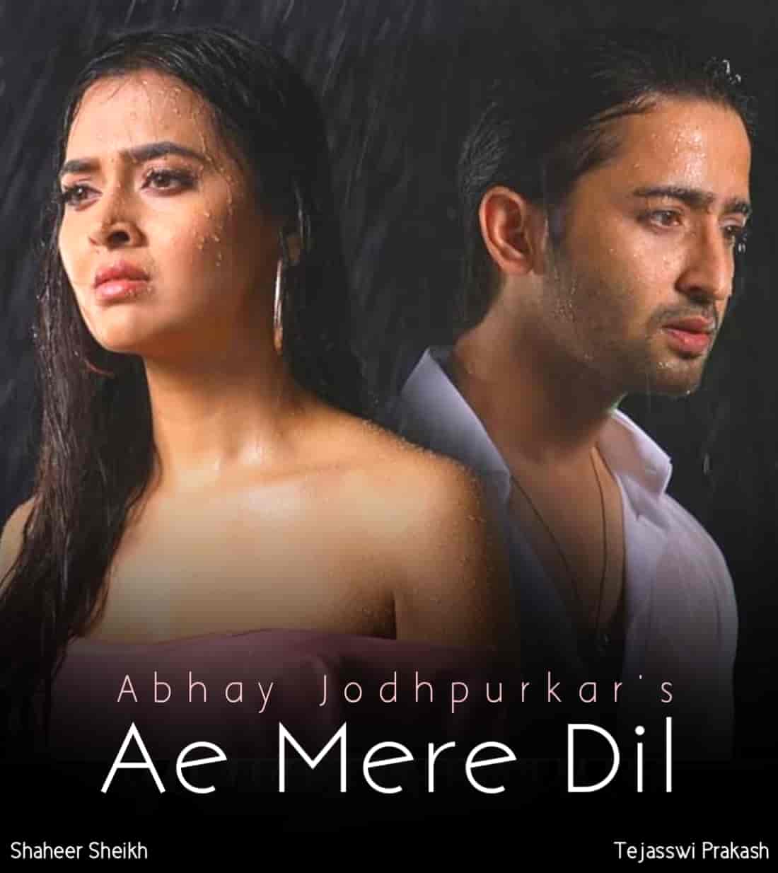 Ae Mere Dil Sad Hindi Song Image Features Shaheer Sheikh and Tejasswi Prakash