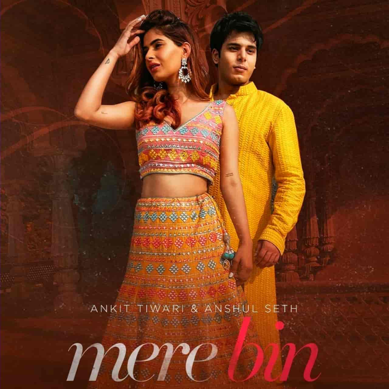 Mere Bin Hindi Song Image Features Karishma Sharma Sung By Ankit Tiwari