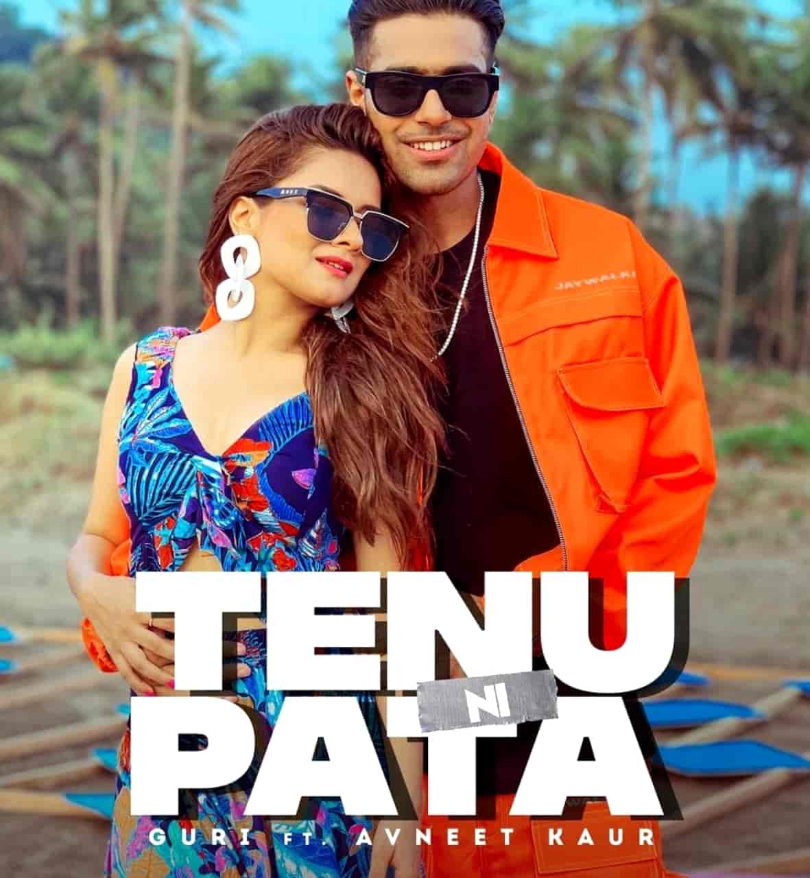 Tenu Ni Pata Punjabi Song Image Guri