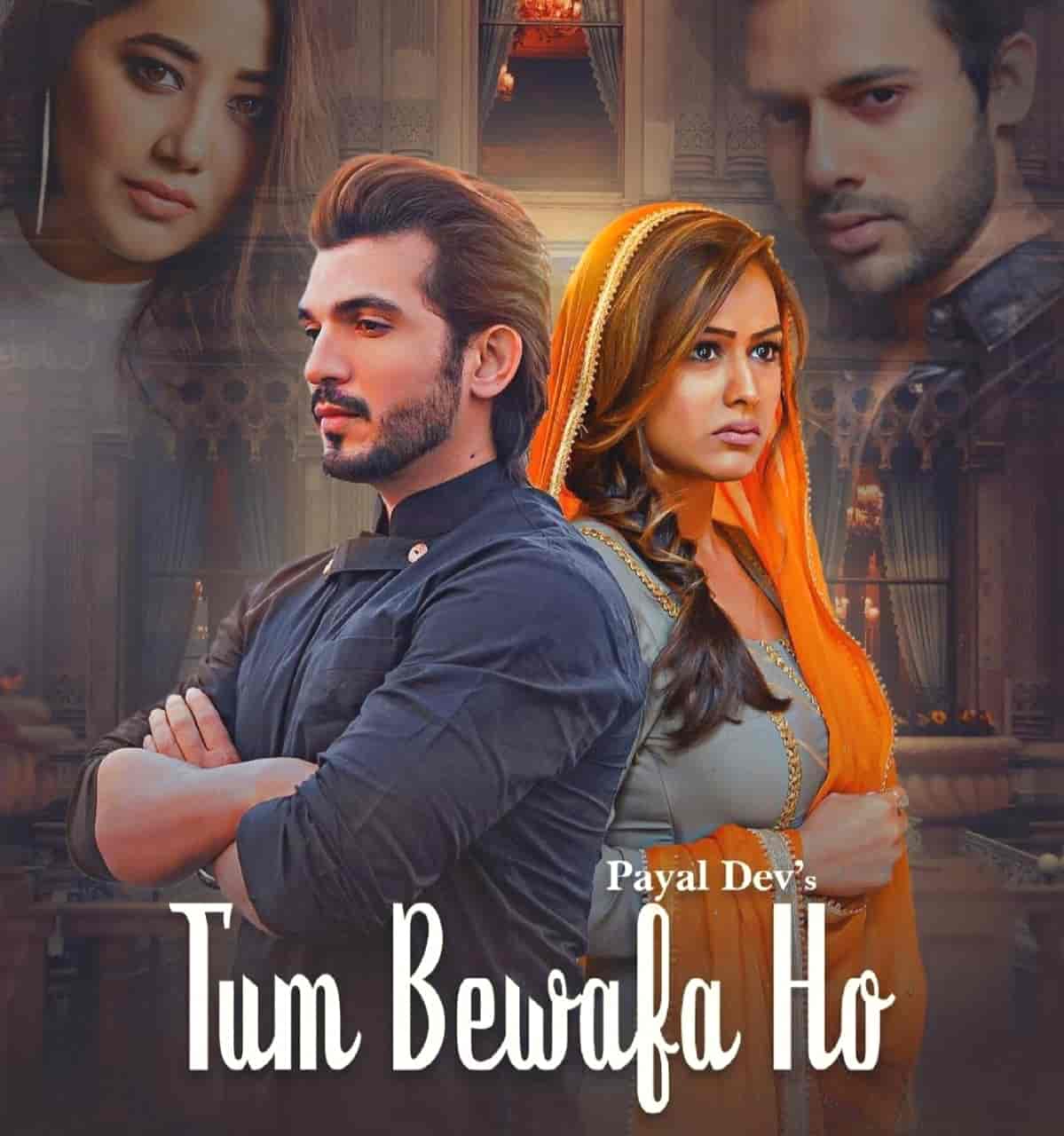 Tum Bewafa Ho Hindi Song Lyrics Payal Dev & Stebin Ben